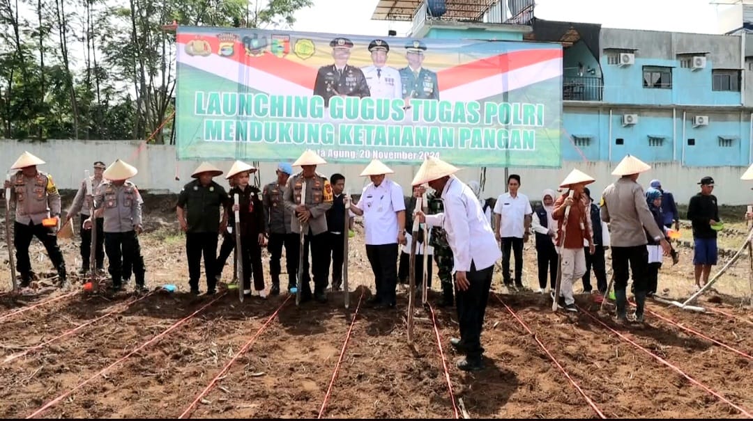 Dukung Ketahanan Pangan, Polres Tanggamus Tanam Jagung Unggul di Areal Satpas SIM